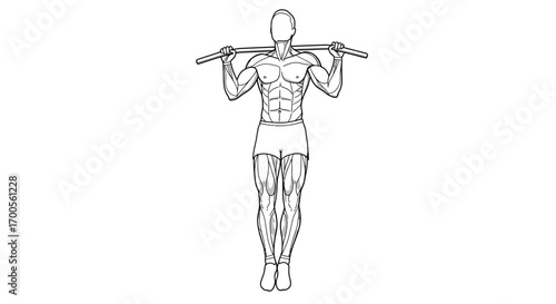 Line art fitness: muscular male performing pull-up exercise
