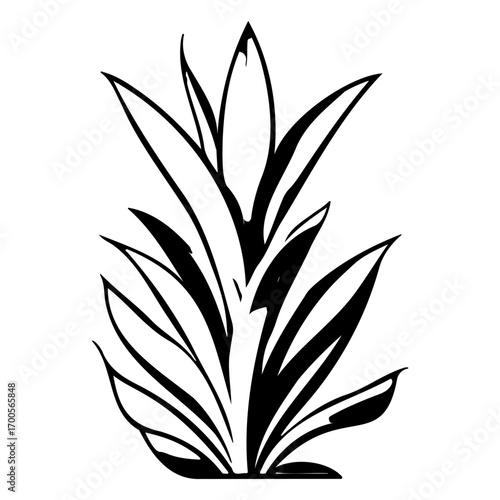 aloe flower illustration sketch