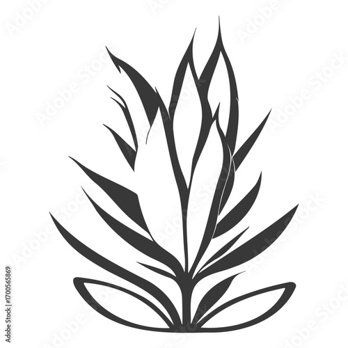 aloe flower illustration grey