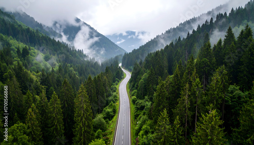 Winding Road Through Lush Green Forest A Scenic Drive in the Mountains