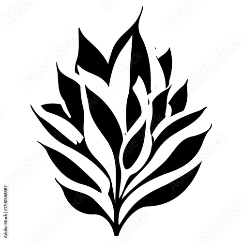 aloe flower illustration sketch