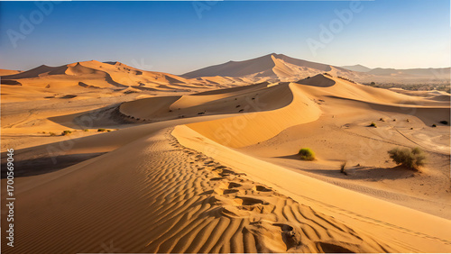Golden sand dunes stretch across a vast desert landscape under a clear blue sky, with footprints leading the way isolated on transparent background