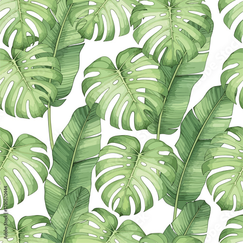 Lush tropical foliage featuring monstera and banana leaves on a white background, seamless pattern, Stock royalty free image.