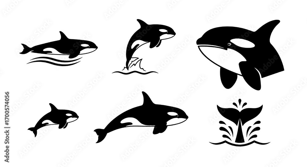 Fototapeta premium Black and White Orca Killer Whale Silhouette Vector Illustration Set