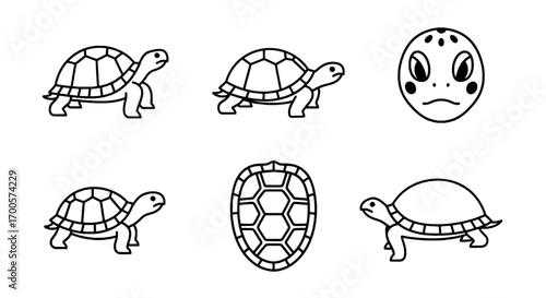Turtle Outline Icons Sea Creature Shell Vector Illustrations
