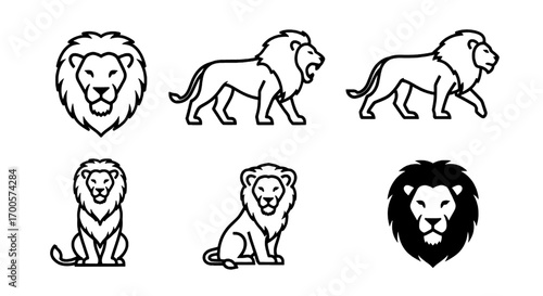 Set of Lions Minimalist Line Art Illustrations