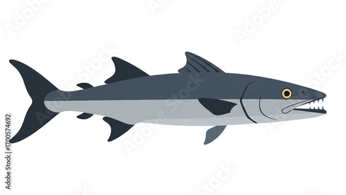 Flat Vector Illustration of Barracuda Fish with Sharp Teeth and Dark Grey Body
