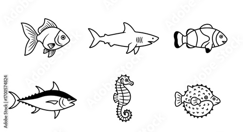 Sea Creatures A Collection of Fish and Marine Life Illustrations