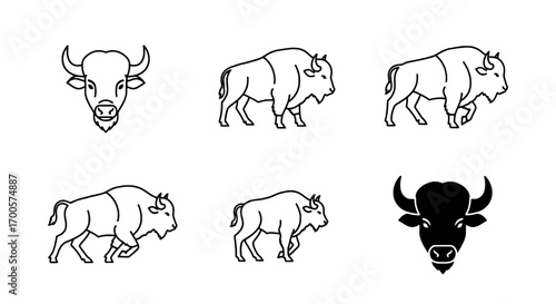 Bison Outline Collection Animal Icons in Simple Line Art