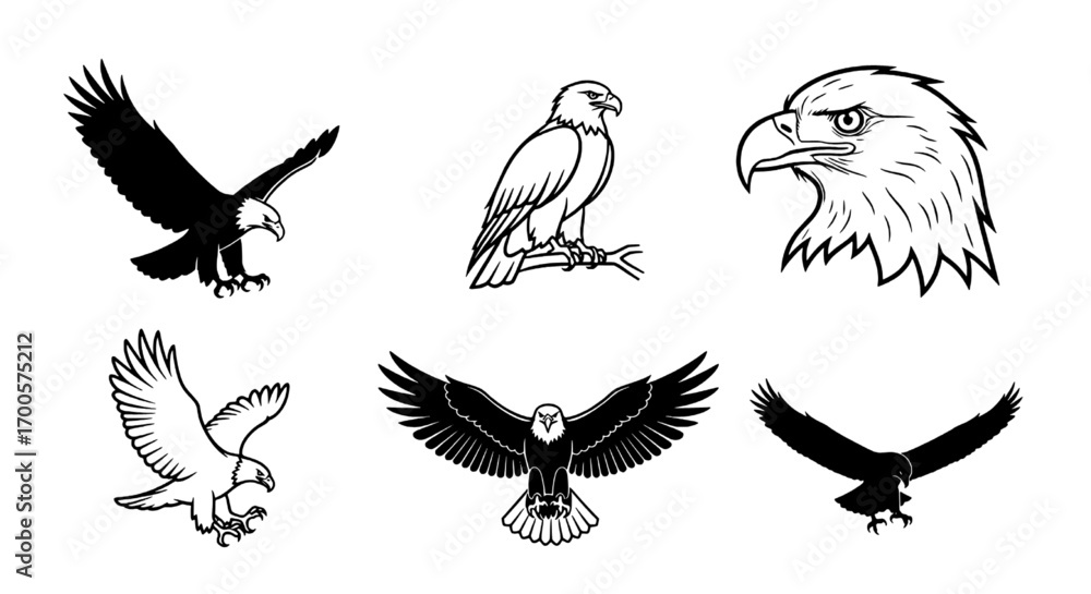 Obraz premium Majestic Eagle Vectors Collection of Powerful Bird Illustrations