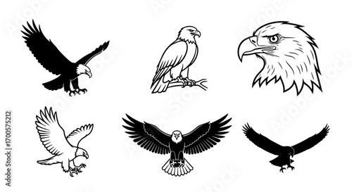 Majestic Eagle Vectors Collection of Powerful Bird Illustrations