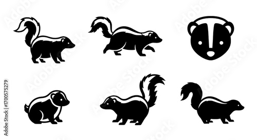 Skunk Vector Art Black and White Illustrations