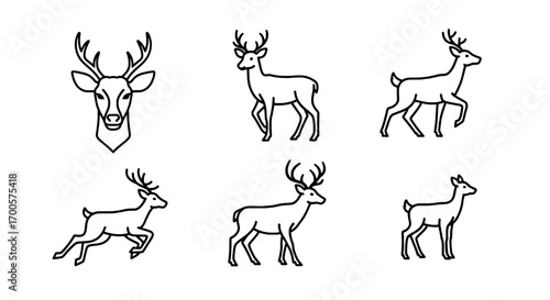 Deer Line Art Illustrations  Buck, Doe, Fawn Animals with Antlers