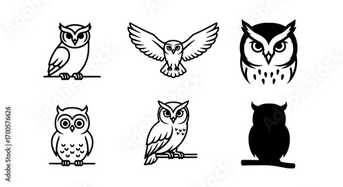 Diverse Owl Illustrations Detailed Outline and Silhouette Collection