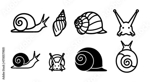 Simple Black and White Icons of Snails and Shells
