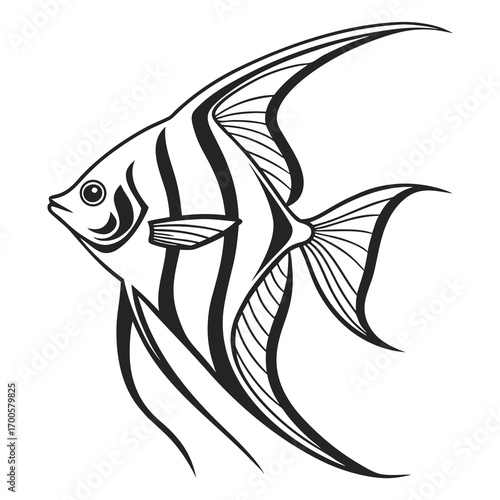 Black and white illustration of an angelfish with flowing fins