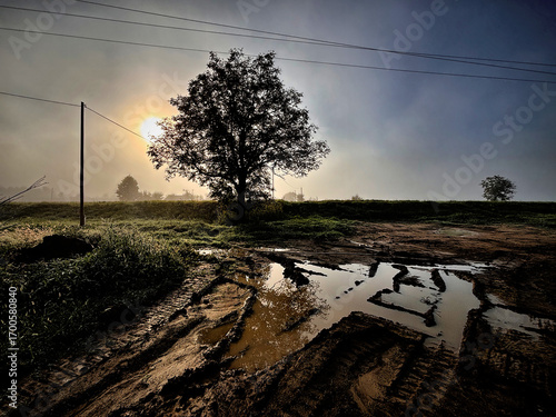 Road Ahead