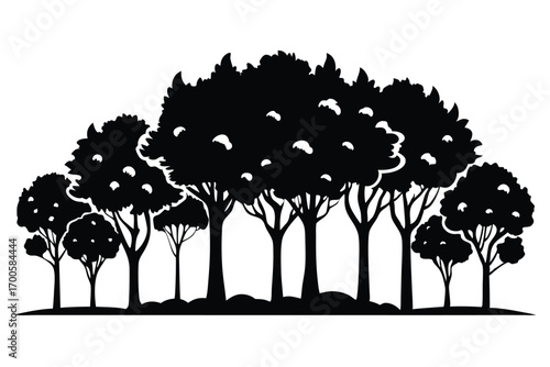 Monochrome Illustration of a Forest with Trees, Ground, and Lush Foliage Silhouetted