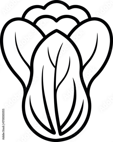 Abstract Bok Choy Line Drawing Vegetable Icon