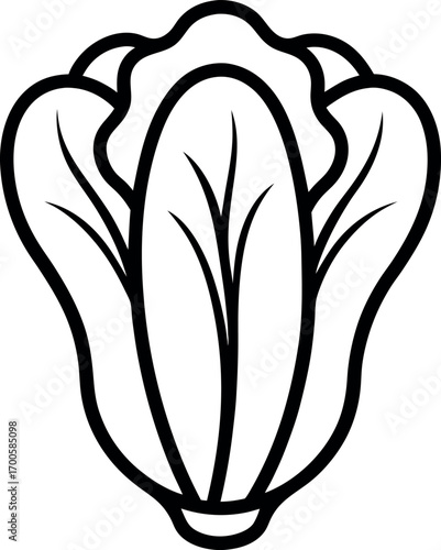 Black and White Bok Choy Line Drawing Illustration