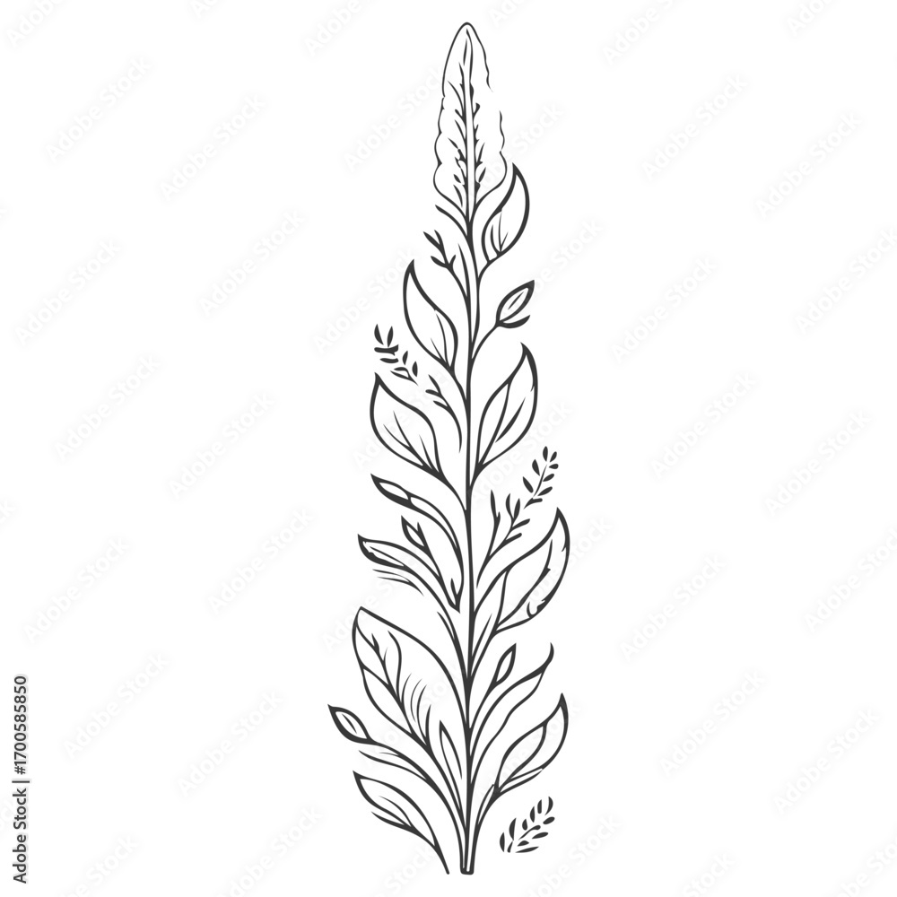 Fototapeta premium tulip flower illustration grey