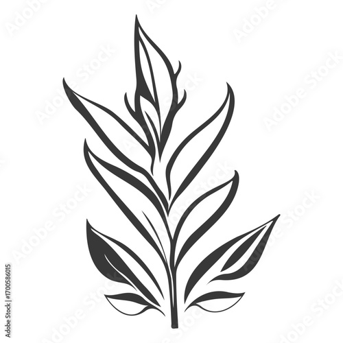 aloe flower illustration grey