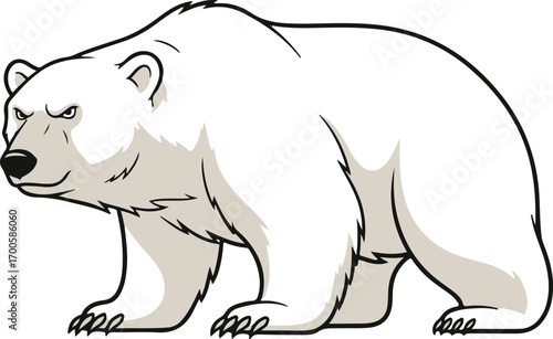 polar bear vector illustration