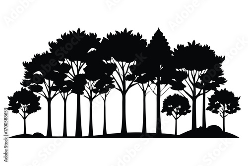 Forest Silhouette Illustration Trees with Broad Canopies and Narrow Trunks on Gentle Hill