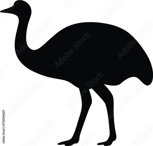 Emu bird silhouette vector, Ostrich silhouette vector
