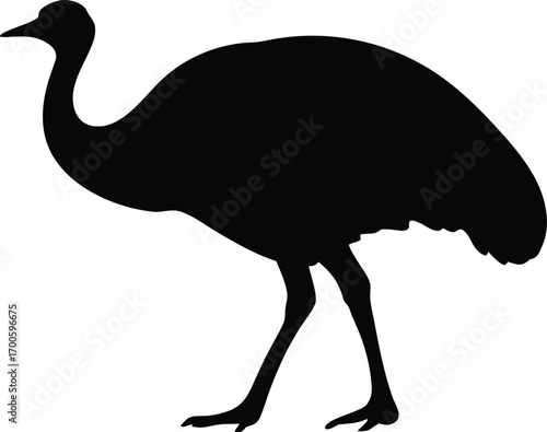 Emu bird silhouette vector, Ostrich silhouette vector