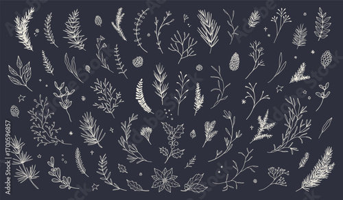 Christmas set of hand drawn floral decorations. Winter fir branches, plants, berries, flowers, cones, coniferous greenery, mistletoe, poinsettia, snowflakes. Vector line art illustration