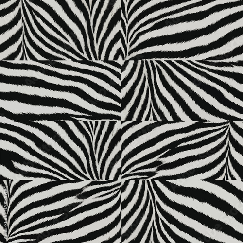 Zebra pattern background with black and white stripes creating a bold design, patern seamless, royalty stock.