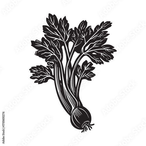 Celery vector silhouette.
