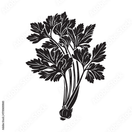 Celery vector silhouette.