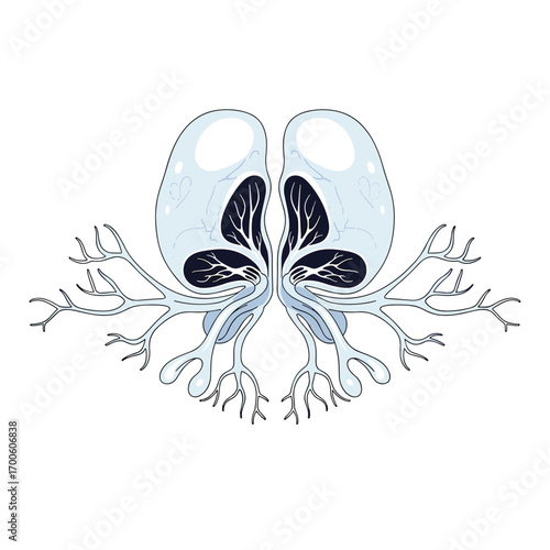 Abstract symmetric blue and white design featuring organic shapes and branching structures