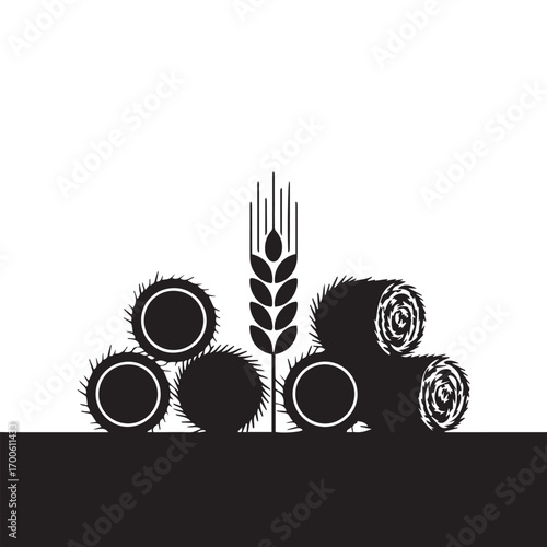 Hay Bales and Wheat Ear Silhouette