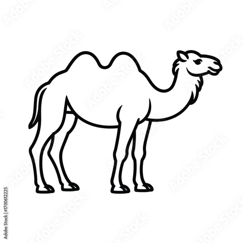 Simple line art illustration of a camel
