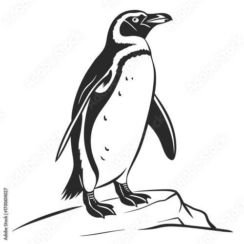 A stylized black and white illustration of a single magellanic penguin standing proudly on a rocky outcrop against a clean white background