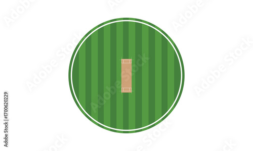Illustration of a green cricket ground with pitch in the center