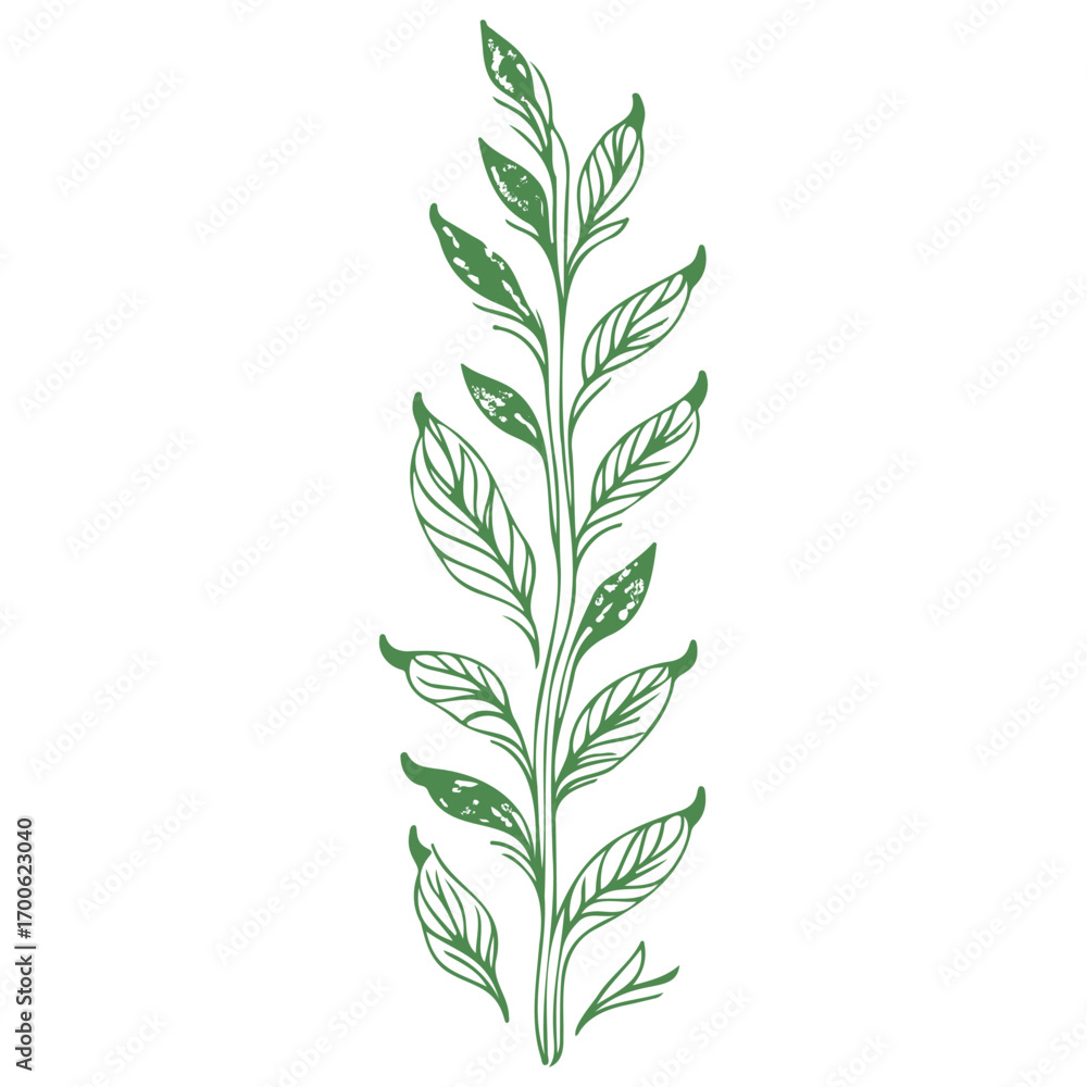 Fototapeta premium tulip flower illustration green
