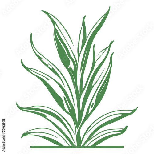 aloe flower illustration green