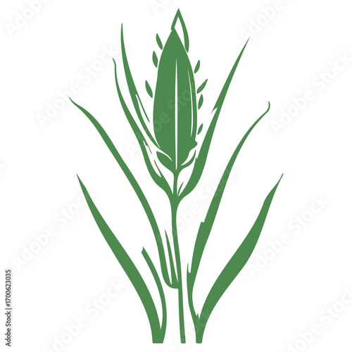 aloe flower illustration green
