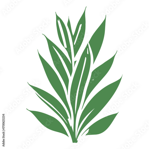 aloe flower illustration green