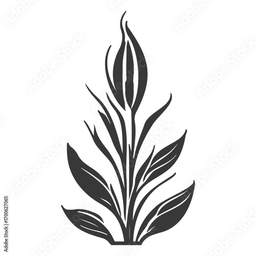 aloe flower illustration grey