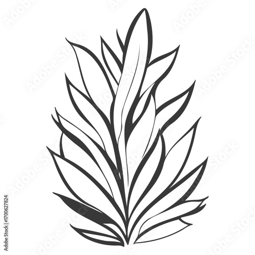 aloe flower illustration grey