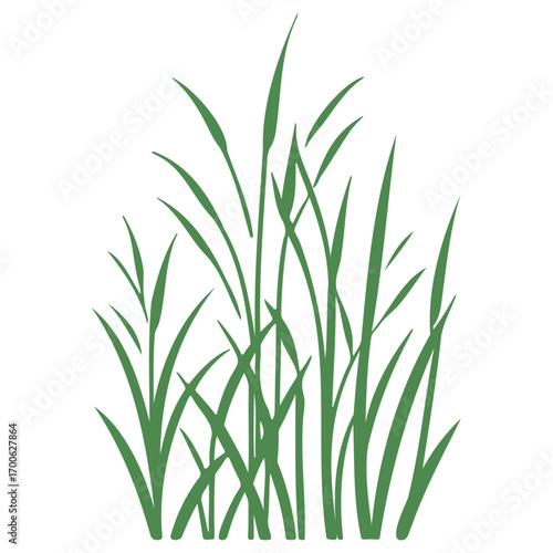 grass garden illustration green
