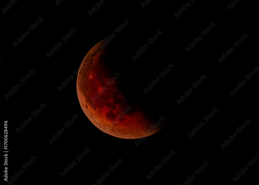 Naklejka premium Blood Moon