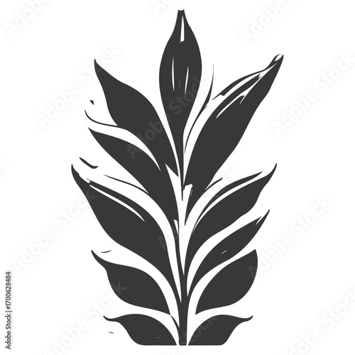 aloe flower illustration grey