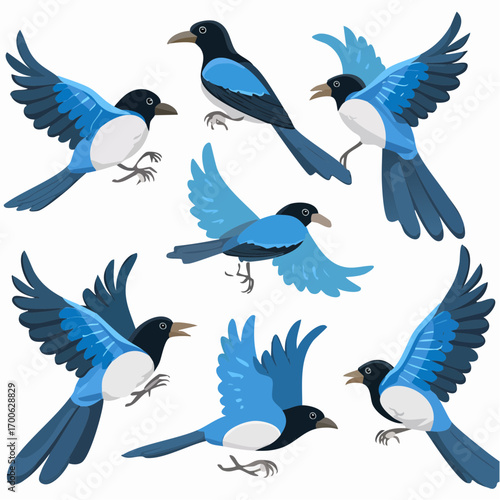 Taiwan Blue Magpie Endemic Bird Flying Various Poses Cartoon Vector Character