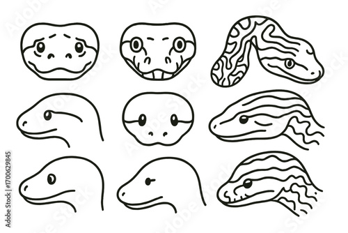 Anaconda Head Icons. Line style icons of anaconda head shapes: heavy anaconda face, wide snout view, top view anaconda, resting
